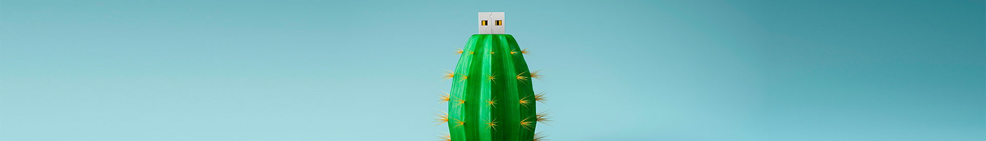 Seguridad Malware - Memoria USB con forma de cactus Seguridad Malware - Memoria USB con forma de cactus